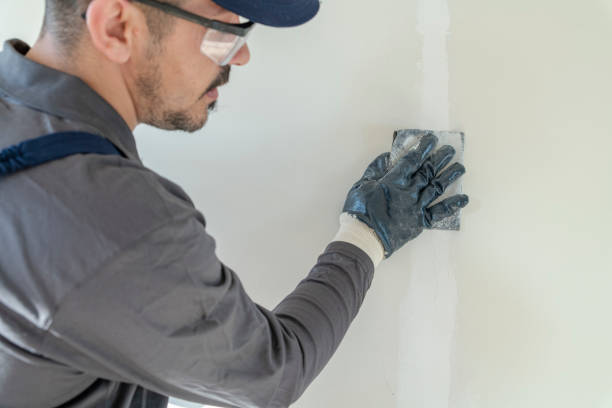 Best Attic Mold Removal  in Tracy City, TN